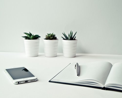 minimalist clean office desk with a notebook and small plant